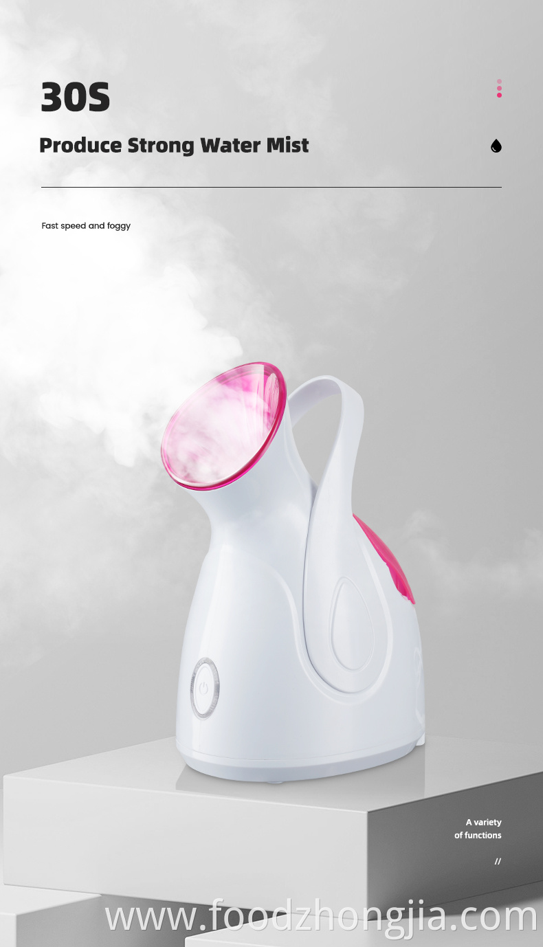 Hot Mist High Quality Home Appliance Custom Logo Electrical Mini Portable Handheld Facial Steamer